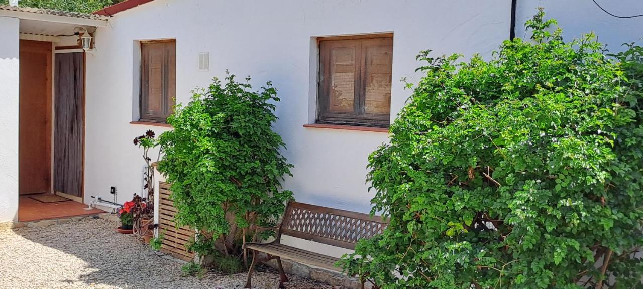 Finca Gamundi L'Ampolla Eksteriør billede