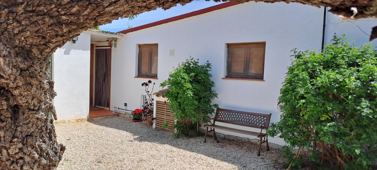 Finca Gamundi L'Ampolla Eksteriør billede